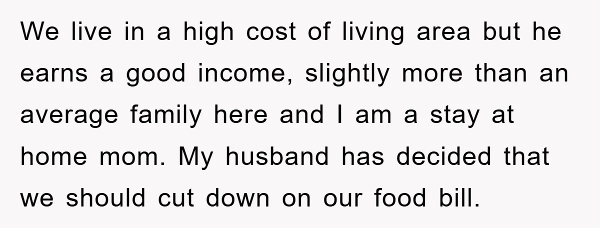 We live in a high cost of living area but he earns a good income, slightly more than an average family here and I am a stay at home mom....