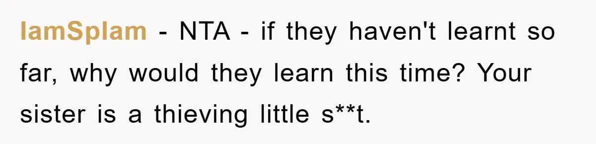 IamSplam − NTA - if they haven't learnt so far, why would they learn this time? Your sister is a thieving little s**t.