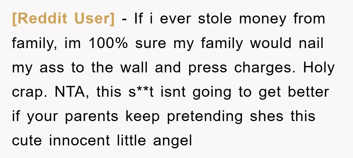 [Reddit User] − If i ever stole money from family, im 100% sure my family would nail my ass to the wall and press charges. Holy crap. NTA, this s**t...