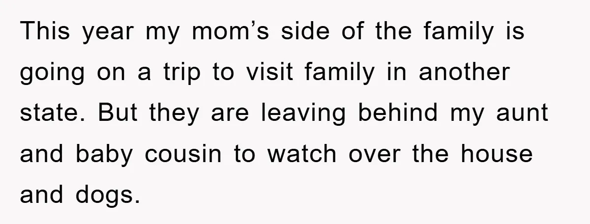 This year my mom’s side of the family is going on a trip to visit family in another state. But they are leaving behind my aunt and baby cousin to...