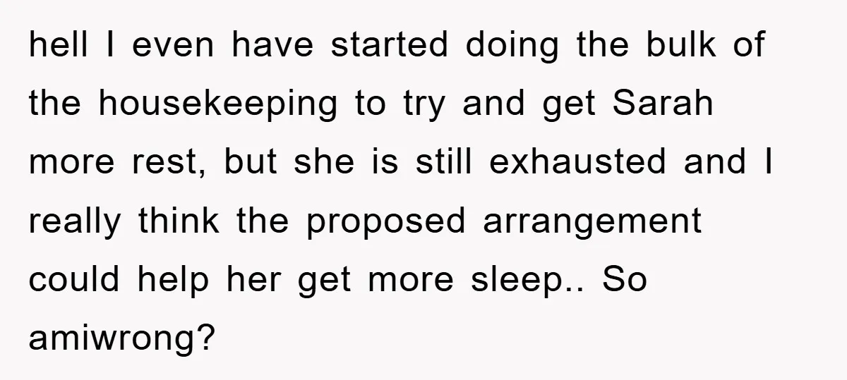 hell I even have started doing the bulk of the housekeeping to try and get Sarah more rest, but she is still exhausted and I really think the proposed arrangement...