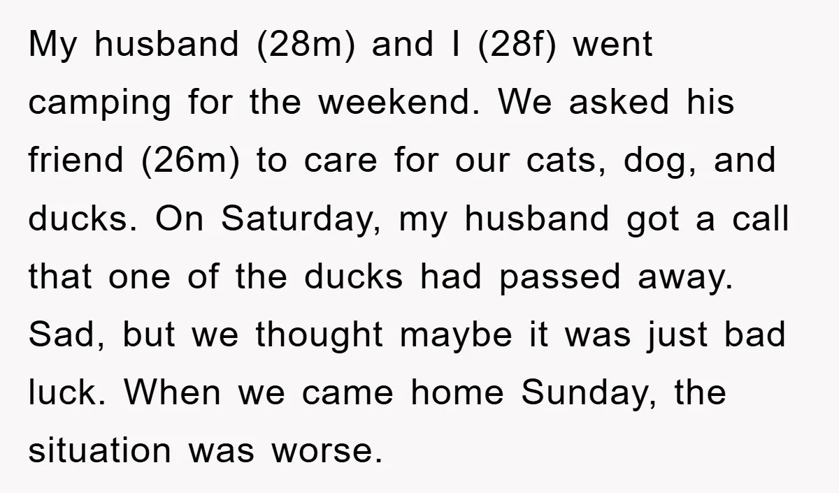 My husband (28m) and I (28f) went camping for the weekend. We asked his friend (26m) to care for our cats, dog, and ducks. On Saturday, my husband got a...