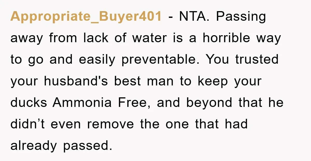 Appropriate_Buyer401 − NTA. Passing away from lack of water is a horrible way to go and easily preventable. You trusted your husband's best man to keep your ducks Ammonia Free,...