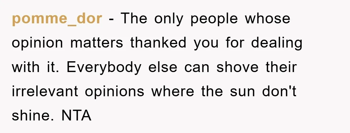 pomme_dor − The only people whose opinion matters thanked you for dealing with it. Everybody else can shove their irrelevant opinions where the sun don't shine. NTA
