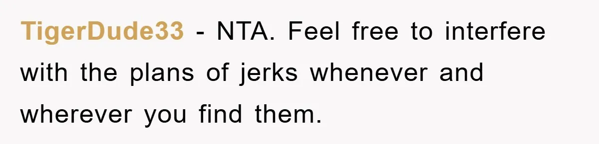 TigerDude33 − NTA. Feel free to interfere with the plans of jerks whenever and wherever you find them.