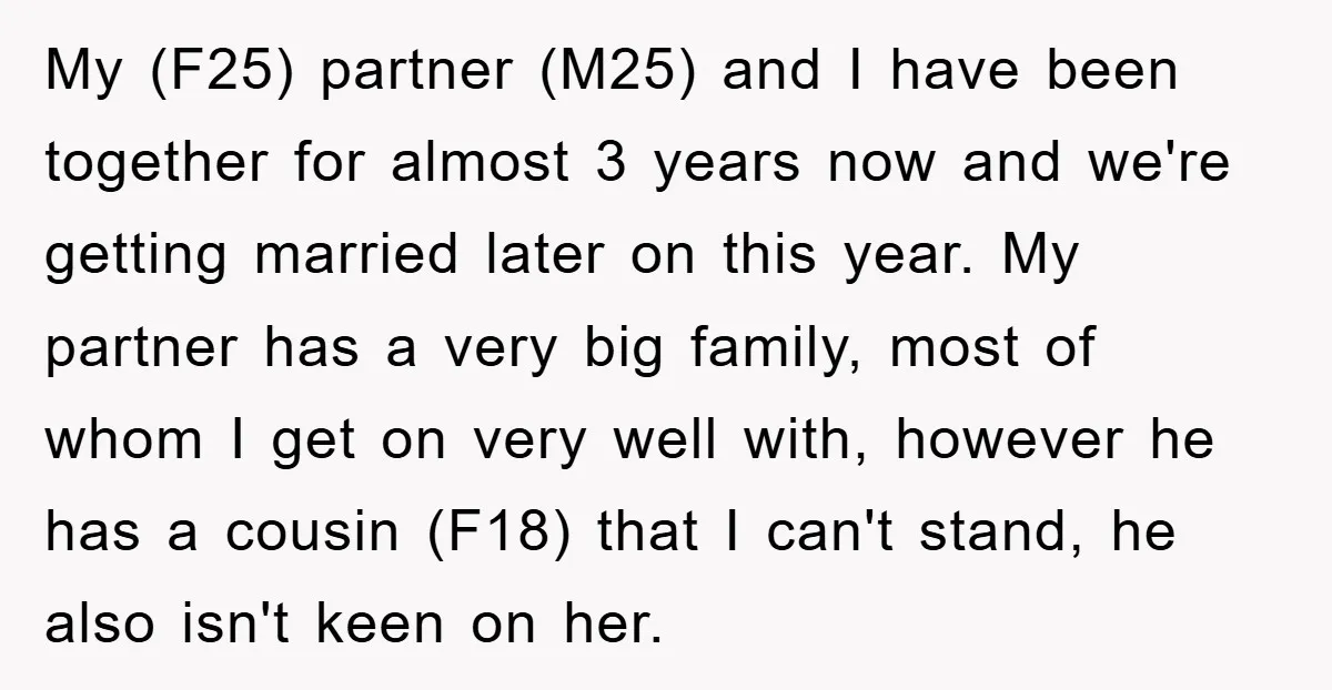 My (F25) partner (M25) and I have been together for almost 3 years now and we're getting married later on this year. My partner has a very big family, most...