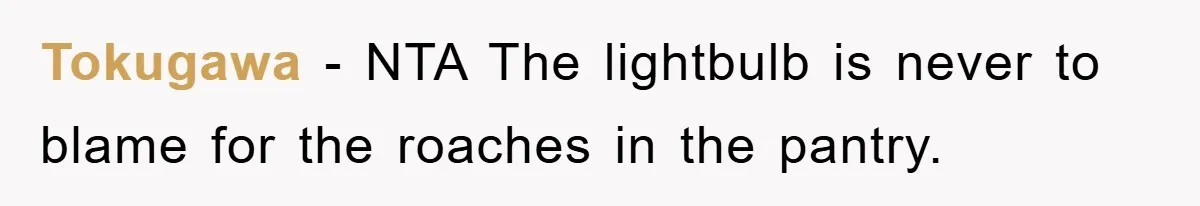Tokugawa − NTA The lightbulb is never to blame for the roaches in the pantry.