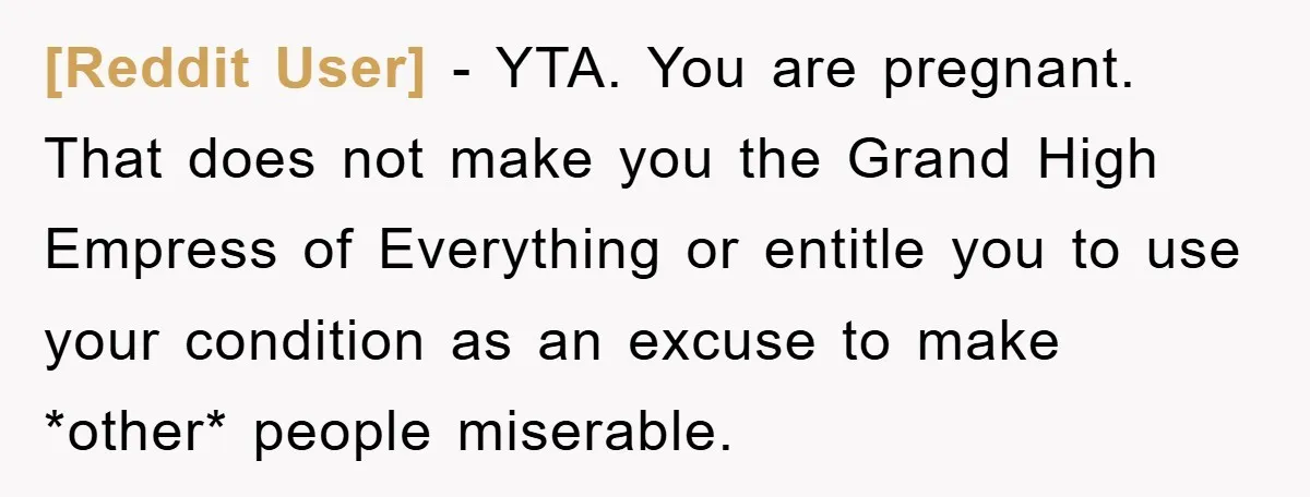 [Reddit User] − YTA. You are pregnant. That does not make you the Grand High Empress of Everything or entitle you to use your condition as an excuse to make...