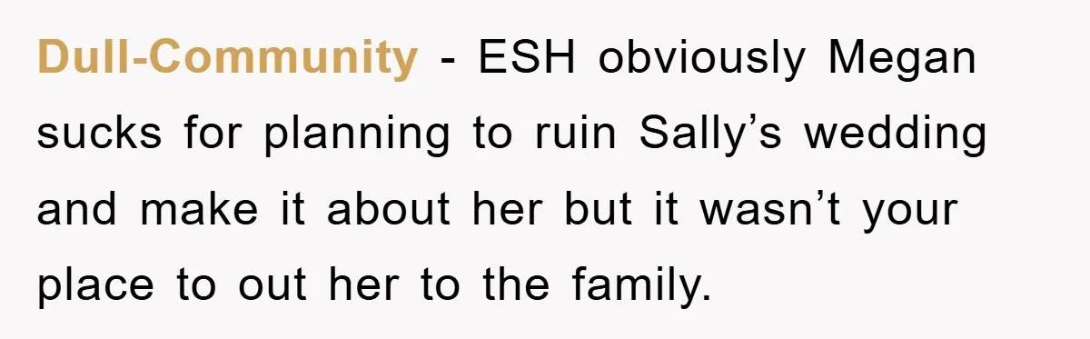 Dull-Community − ESH obviously Megan sucks for planning to ruin Sally’s wedding and make it about her but it wasn’t your place to out her to the family.
