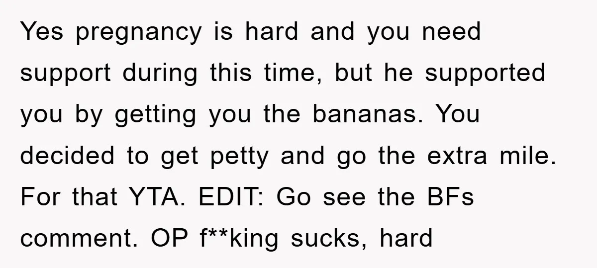 Yes pregnancy is hard and you need support during this time, but he supported you by getting you the bananas. You decided to get petty and go the extra mile....