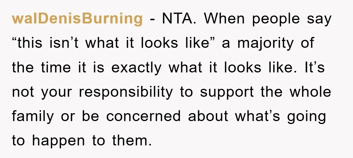 walDenisBurning − NTA. When people say “this isn’t what it looks like” a majority of the time it is exactly what it looks like. It’s not your responsibility to support...