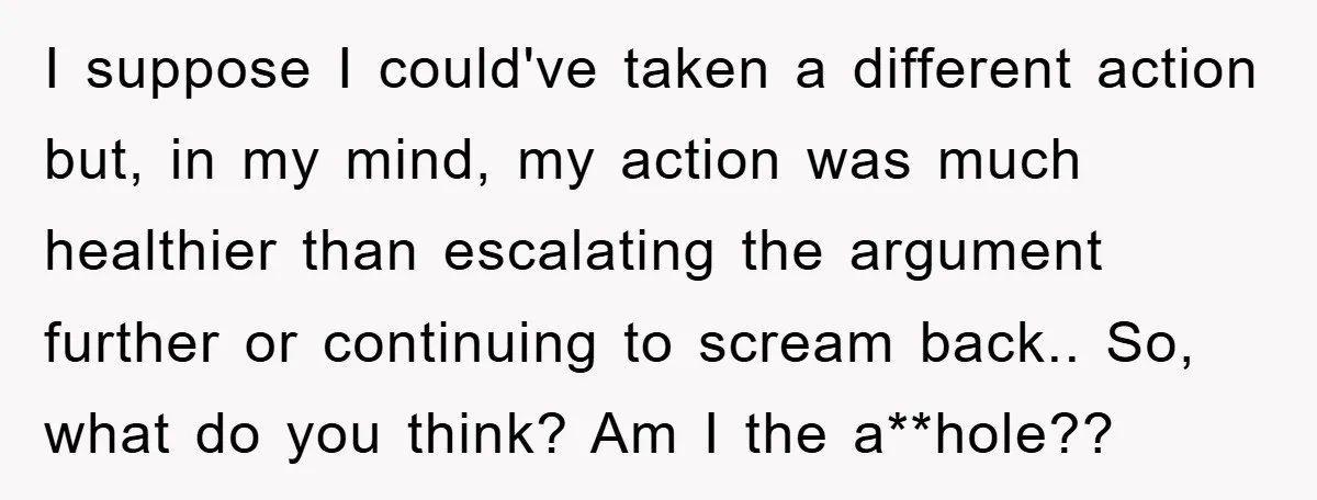 I suppose I could've taken a different action but, in my mind, my action was much healthier than escalating the argument further or continuing to scream back.. So, what do...