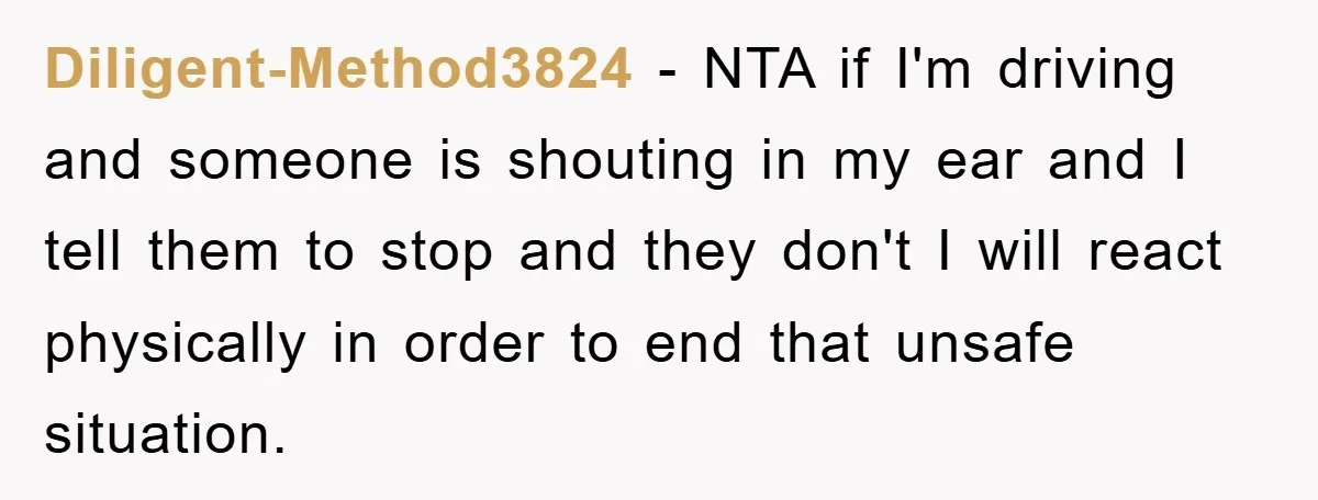 Diligent-Method3824 − NTA if I'm driving and someone is shouting in my ear and I tell them to stop and they don't I will react physically in order to end...