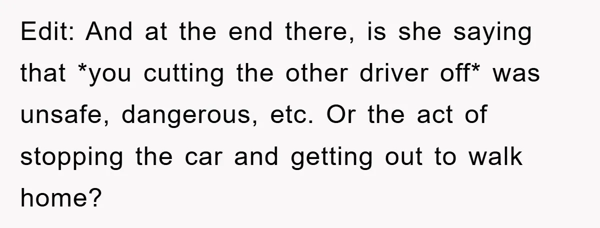 Edit: And at the end there, is she saying that *you cutting the other driver off* was unsafe, dangerous, etc. Or the act of stopping the car and getting out...
