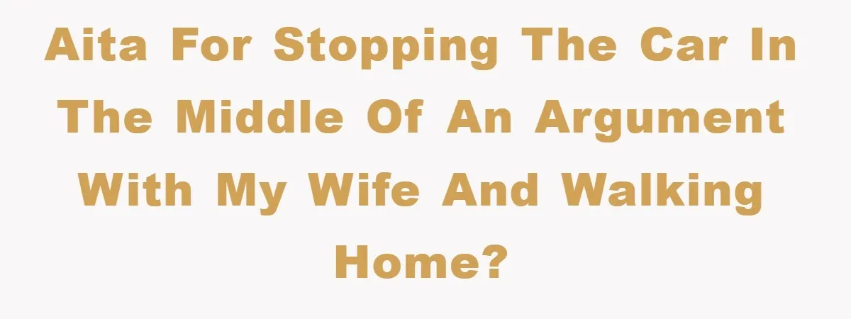 AITA for stopping the car in the middle of an argument with my wife and walking home?