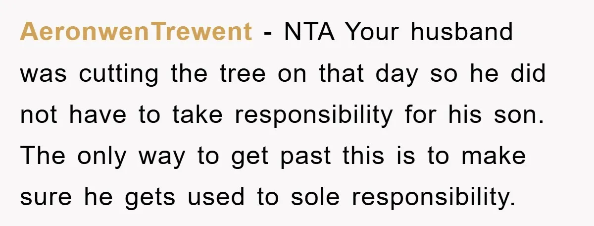 AeronwenTrewent − NTA Your husband was cutting the tree on that day so he did not have to take responsibility for his son. The only way to get past this...