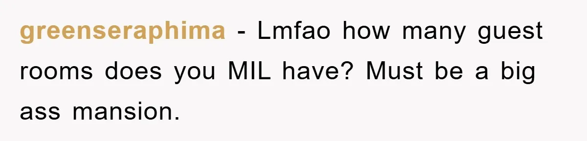 greenseraphima - Lmfao how many guest rooms does you MIL have? Must be a big ass mansion.