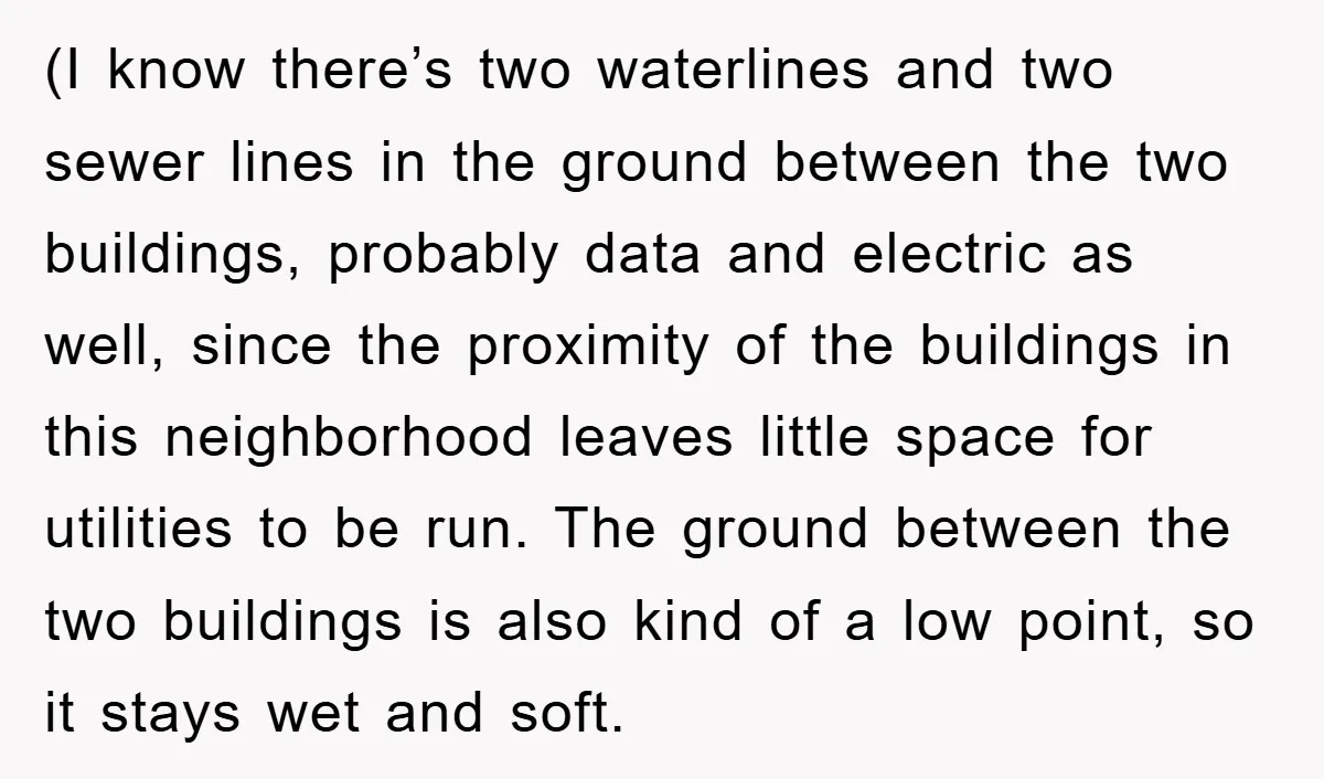 (I know there’s two waterlines and two sewer lines in the ground between the two buildings, probably data and electric as well, since the proximity of the buildings in this...