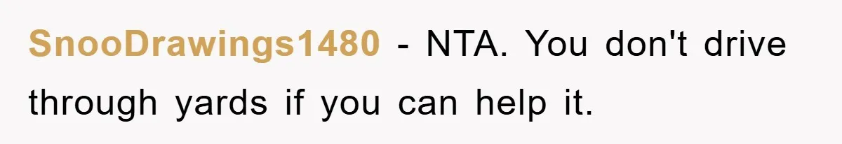 SnooDrawings1480 − NTA. You don't drive through yards if you can help it.