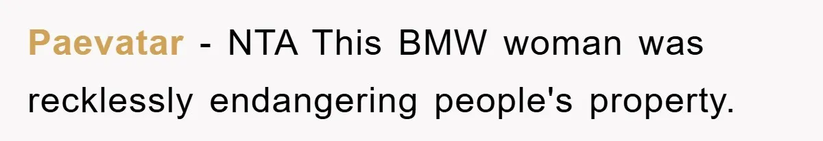 Paevatar − NTA This BMW woman was recklessly endangering people's property.