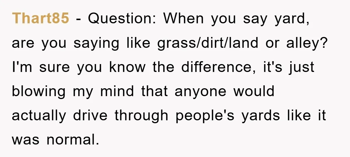 Thart85 − Question: When you say yard, are you saying like grass/dirt/land or alley? I'm sure you know the difference, it's just blowing my mind that anyone would actually drive...
