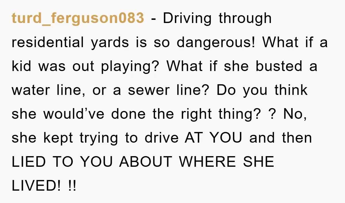 turd_ferguson083 − Driving through residential yards is so dangerous! What if a kid was out playing? What if she busted a water line, or a sewer line? Do you think...
