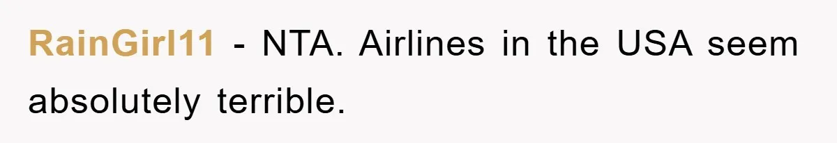 RainGirl11 - NTA. Airlines in the USA seem absolutely terrible.