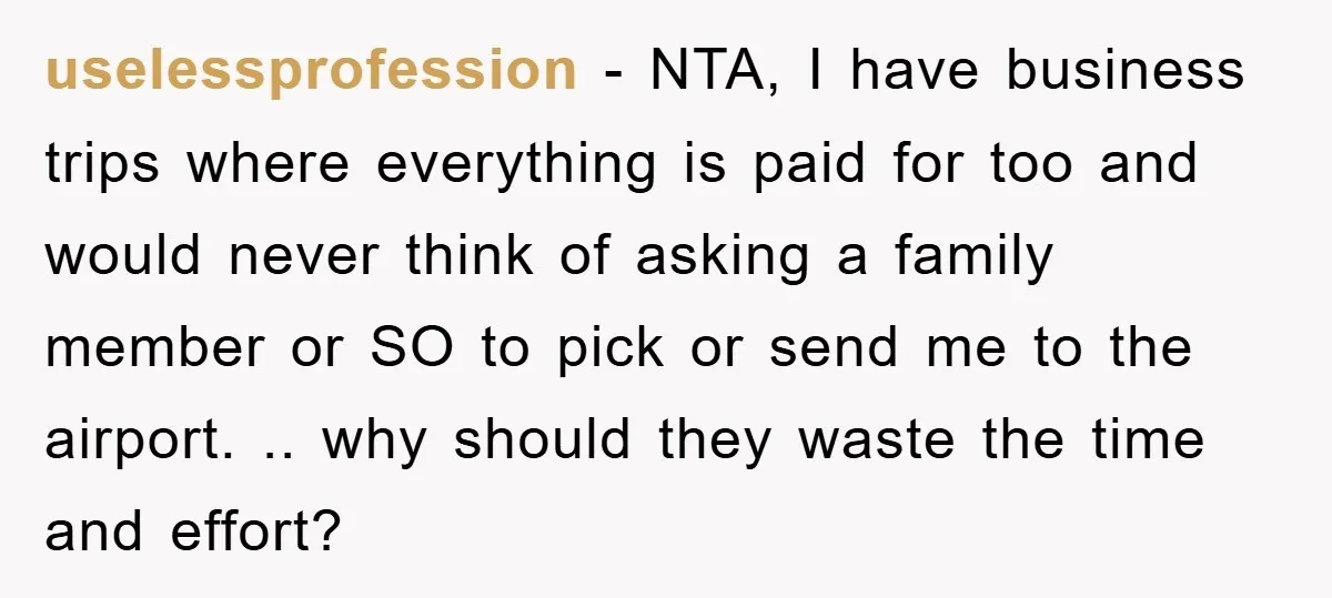 uselessprofession - NTA, I have business trips where everything is paid for too and would never think of asking a family member or SO to pick or send me to...