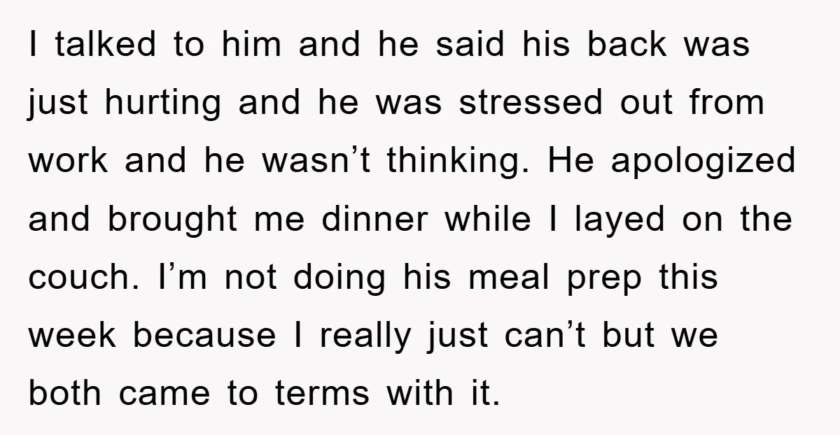 I talked to him and he said his back was just hurting and he was stressed out from work and he wasn’t thinking. He apologized and brought me dinner while...