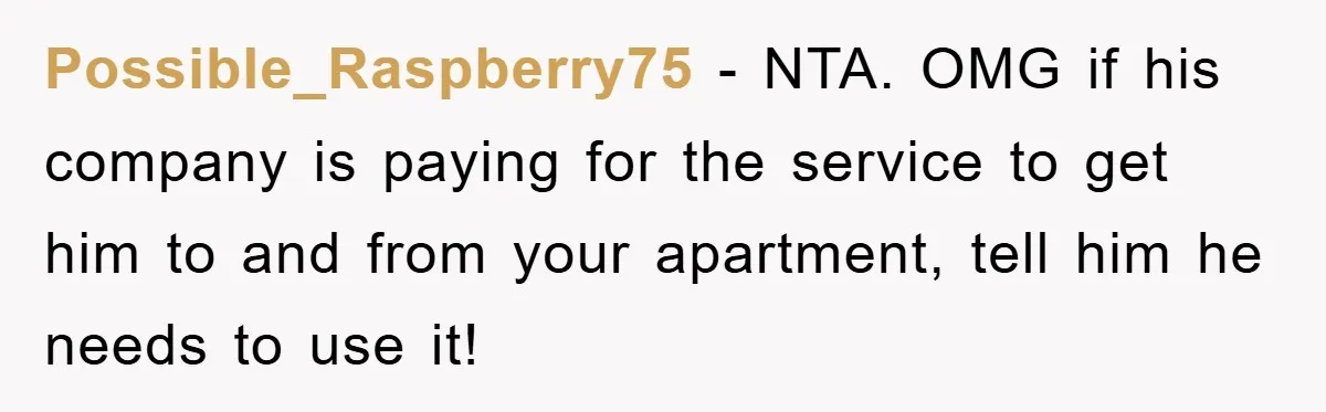 Possible_Raspberry75 - NTA. OMG if his company is paying for the service to get him to and from your apartment, tell him he needs to use it!