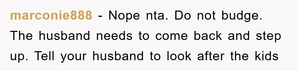 marconie888 − Nope nta. Do not budge. The husband needs to come back and step up. Tell your husband to look after the kids