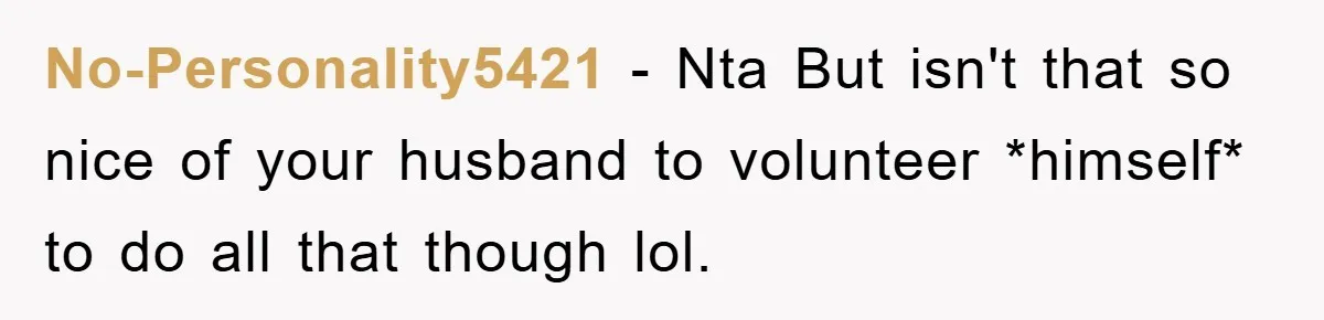 No-Personality5421 − Nta But isn't that so nice of your husband to volunteer *himself* to do all that though lol.