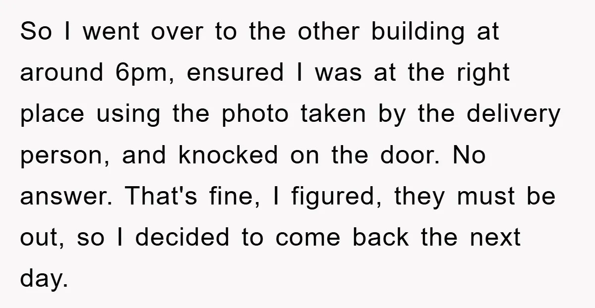 So I went over to the other building at around 6pm, ensured I was at the right place using the photo taken by the delivery person, and knocked on the...
