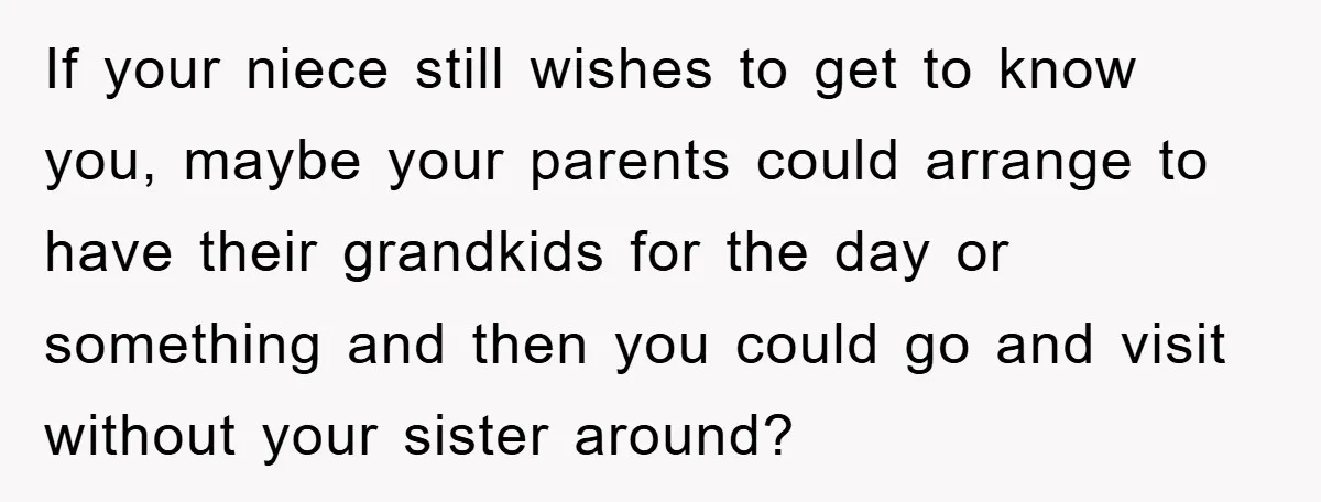 If your niece still wishes to get to know you, maybe your parents could arrange to have their grandkids for the day or something and then you could go and...