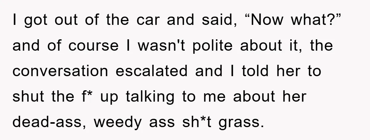 I got out of the car and said, “Now what?” and of course I wasn't polite about it, the conversation escalated and I told her to shut the f* up...