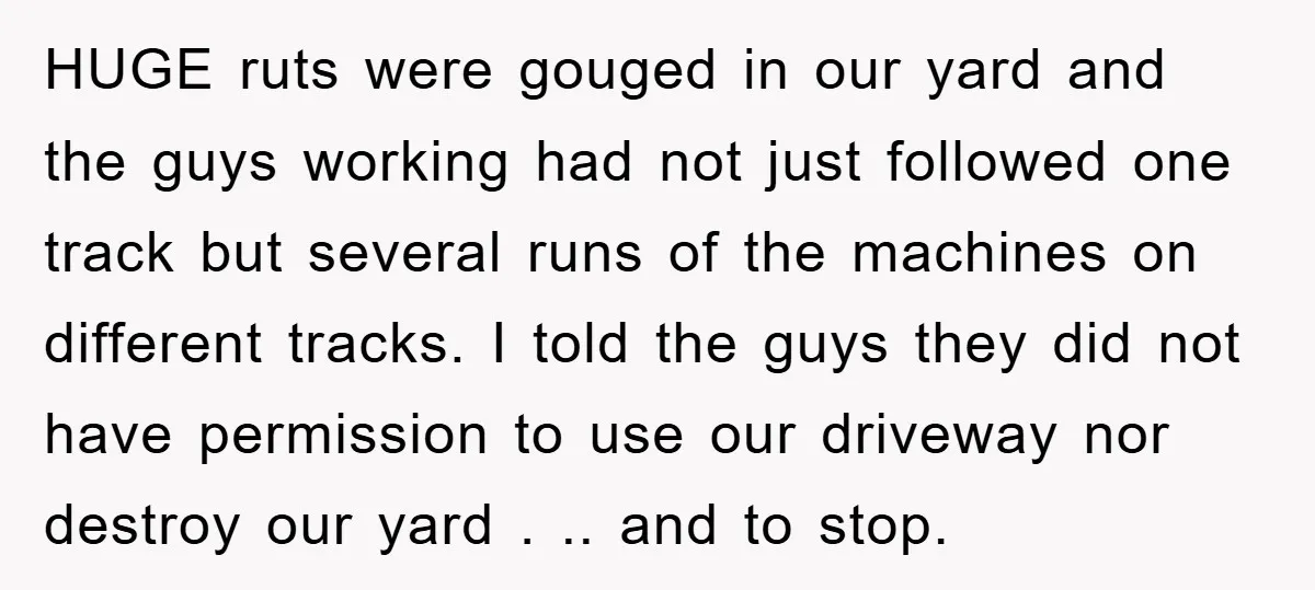 HUGE ruts were gouged in our yard and the guys working had not just followed one track but several runs of the machines on different tracks. I told the guys...