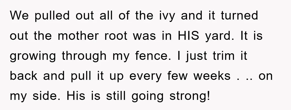 We pulled out all of the ivy and it turned out the mother root was in HIS yard. It is growing through my fence. I just trim it back and...