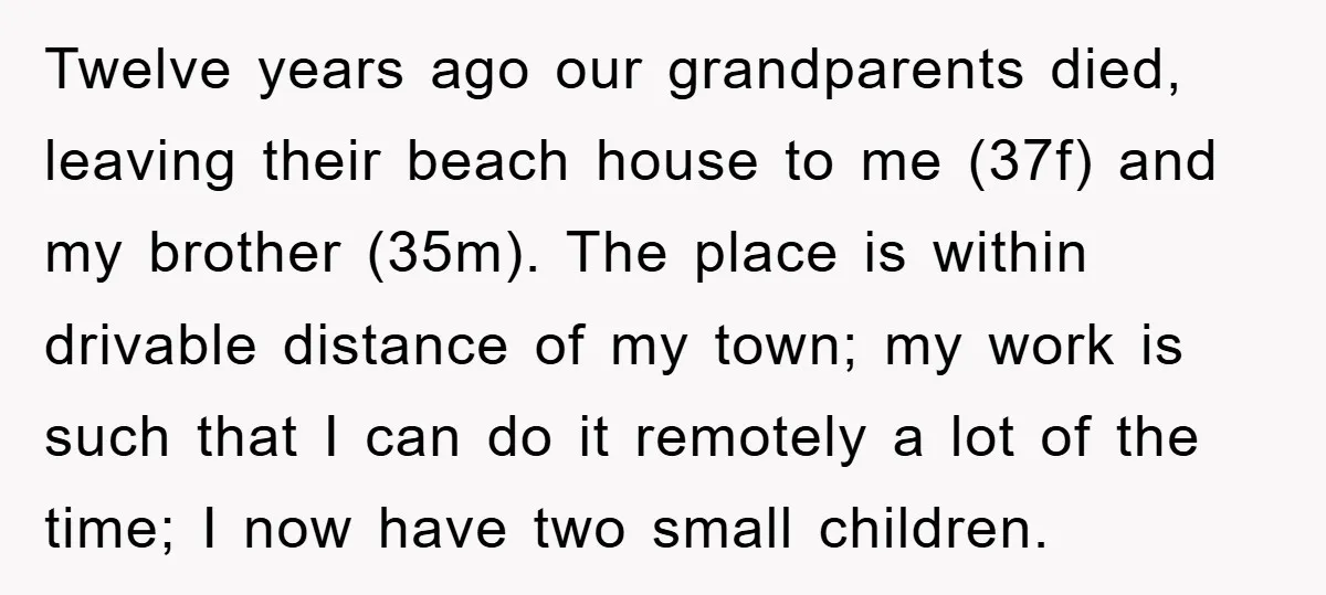 Twelve years ago our grandparents died, leaving their beach house to me (37f) and my brother (35m). The place is within drivable distance of my town; my work is such...