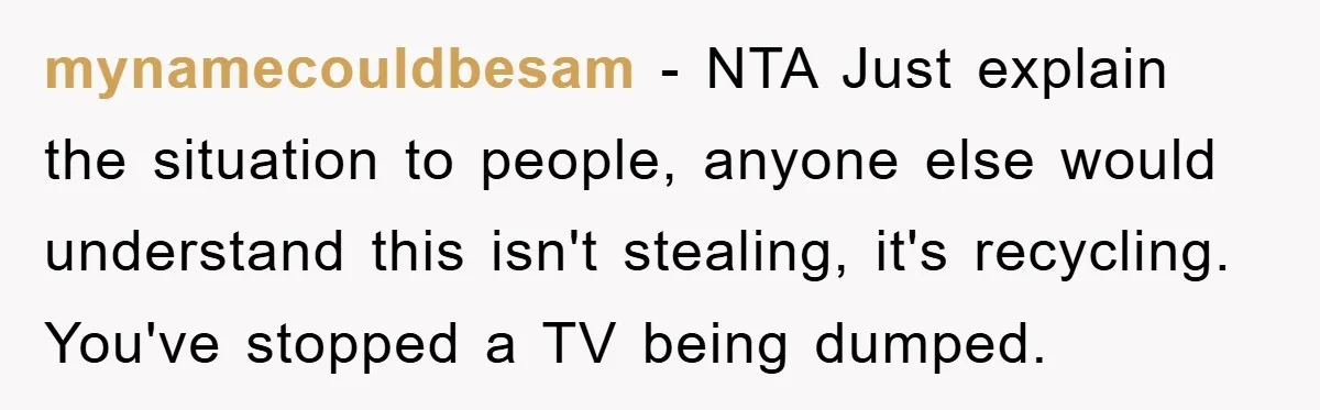 mynamecouldbesam - NTA Just explain the situation to people, anyone else would understand this isn't stealing, it's recycling. You've stopped a TV being dumped.