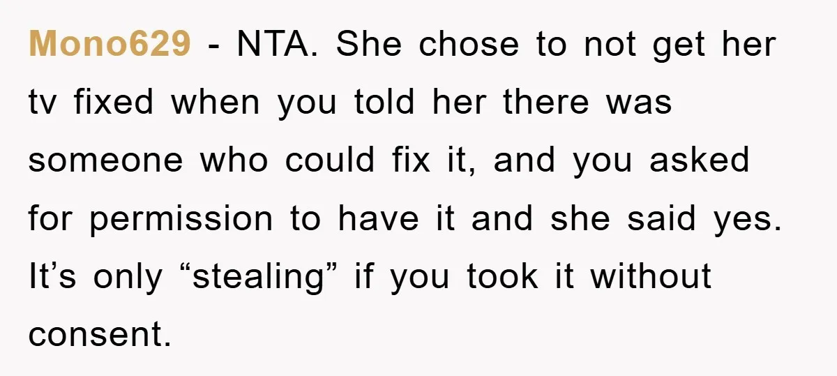 Mono629 - NTA. She chose to not get her tv fixed when you told her there was someone who could fix it, and you asked for permission to have it...