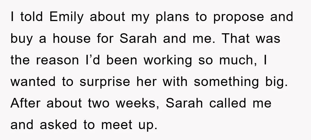 I told Emily about my plans to propose and buy a house for Sarah and me. That was the reason I’d been working so much, I wanted to surprise her...