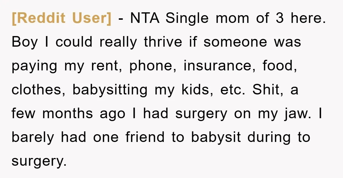 [Reddit User] - NTA Single mom of 3 here. Boy I could really thrive if someone was paying my rent, phone, insurance, food, clothes, babysitting my kids, etc. Shit, a...