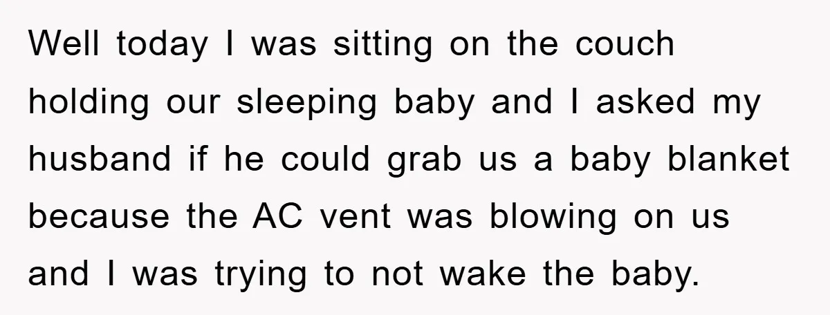 Well today I was sitting on the couch holding our sleeping baby and I asked my husband if he could grab us a baby blanket because the AC vent was...