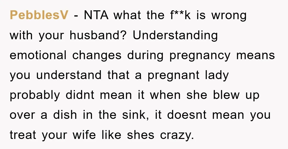 PebblesV - NTA what the f**k is wrong with your husband? Understanding emotional changes during pregnancy means you understand that a pregnant lady probably didnt mean it when she blew...