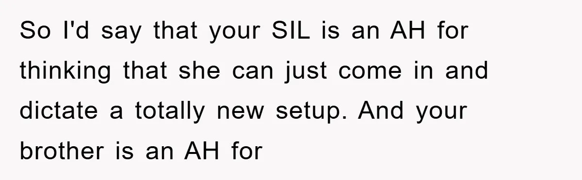 So I'd say that your SIL is an AH for thinking that she can just come in and dictate a totally new setup. And your brother is an AH for