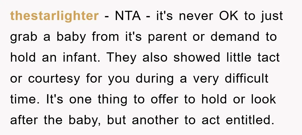 thestarlighter − NTA - it's never OK to just grab a baby from it's parent or demand to hold an infant. They also showed little tact or courtesy for you...