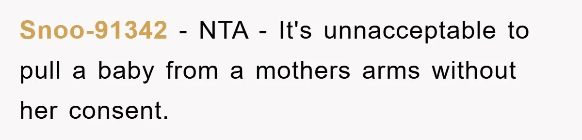 Snoo-91342 − NTA - It's unnacceptable to pull a baby from a mothers arms without her consent.