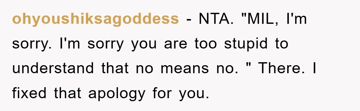 ohyoushiksagoddess − NTA. "MIL, I'm sorry. I'm sorry you are too stupid to understand that no means no. " There. I fixed that apology for you.