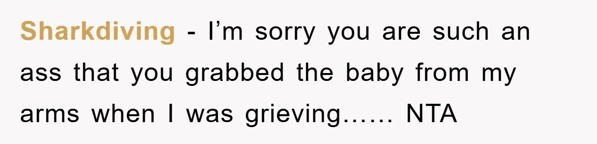 Sharkdiving − I’m sorry you are such an ass that you grabbed the baby from my arms when I was grieving…… NTA