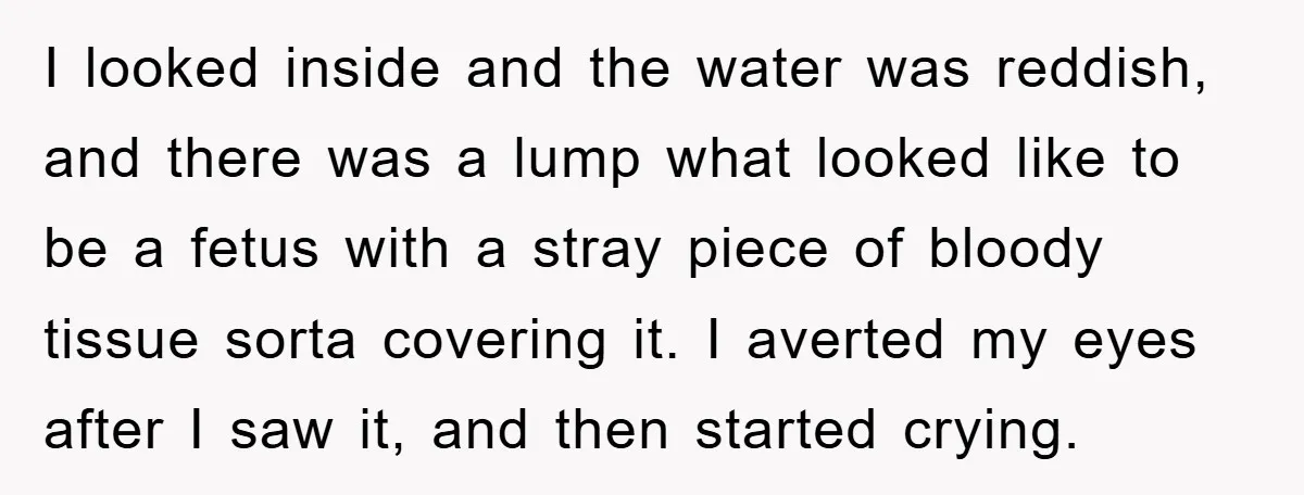 I looked inside and the water was reddish, and there was a lump what looked like to be a fetus with a stray piece of bloody tissue sorta covering it....